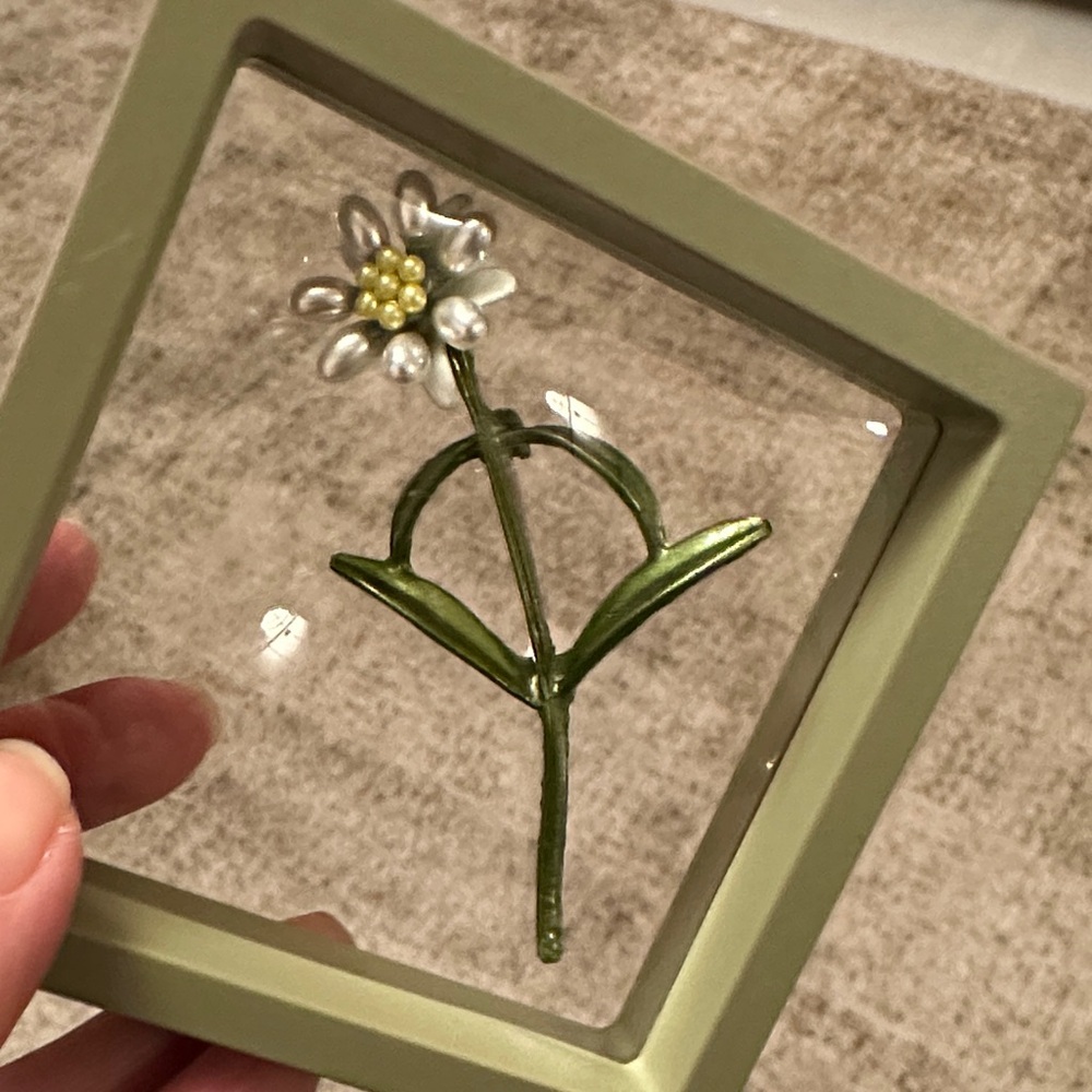 Pearl daisy Brooch NWOT